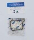 guarnizione collettore di aspirazone FORD FOCUS OEM 1509352 1509352