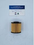 filtro olio ashika oem 10-eco076 10-eco076