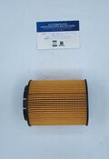 filtro olio ashika oem 10-09-995 1009995