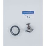 termostato NISSAN DENSO TH05982G1 TH05982G1