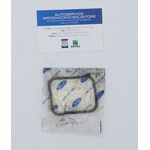 guarnizione collettore di aspirazone FORD FOCUS OEM 1509352 1509352