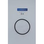 guarnizione pompa carburante originale BMW  oem 16146750467 16146750467