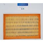 filtro aria originale VW AUDI SEAT SKODA oem 030129620f 030129620f