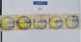 serie fasce RHIAG OEM 2112ES 2112es