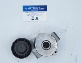 braccio tenditore INA oem 534030810 534030810