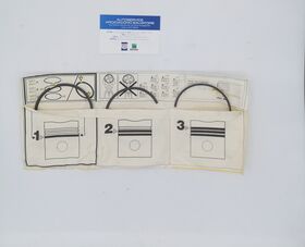 serie fasce VW AUDI  SEAT oem RHIAG sp5661 std VOLKSWAGEN GOLF D TD ø 76,5 SP 1.75-2-3 sp5661 