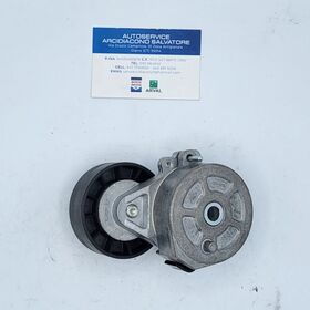 tendicinghia SKF oem vkm33033 CITROEN FIAT FORD vkm33033