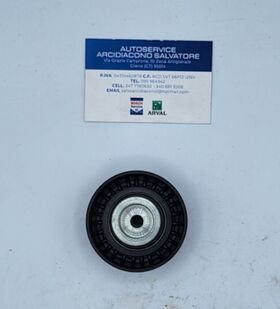 galoppino guida cinghia INA oem 532047010 532047010