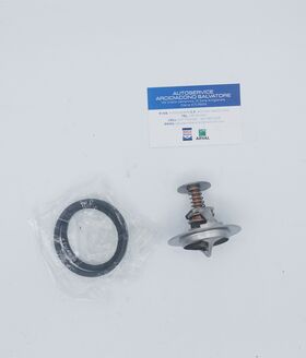 termostato NISSAN DENSO TH05982G1 TH05982G1