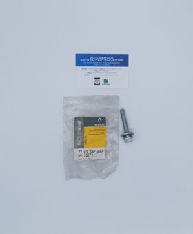 vite originale REANAULT oem 7703602097 7703602097
