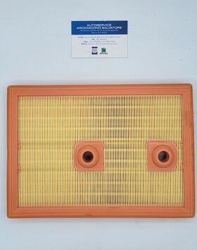 filtro aria MANN FILTER  oem  C27009 c27009