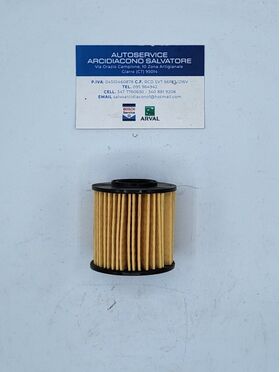 filtro olio ashika oem 10-eco076 10-eco076