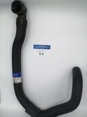 tubazione radiatore originale Hyundai KIA OEM 254124p200 254124p200