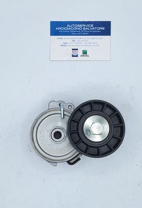 tendicinghia SKF oem vkm33033 CITROEN FIAT FORD vkm33033